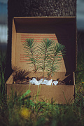 TUPAI - World Environment Day